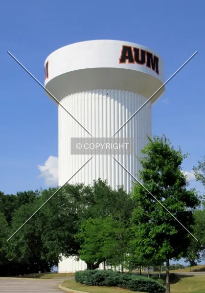 Photo 698-411-691