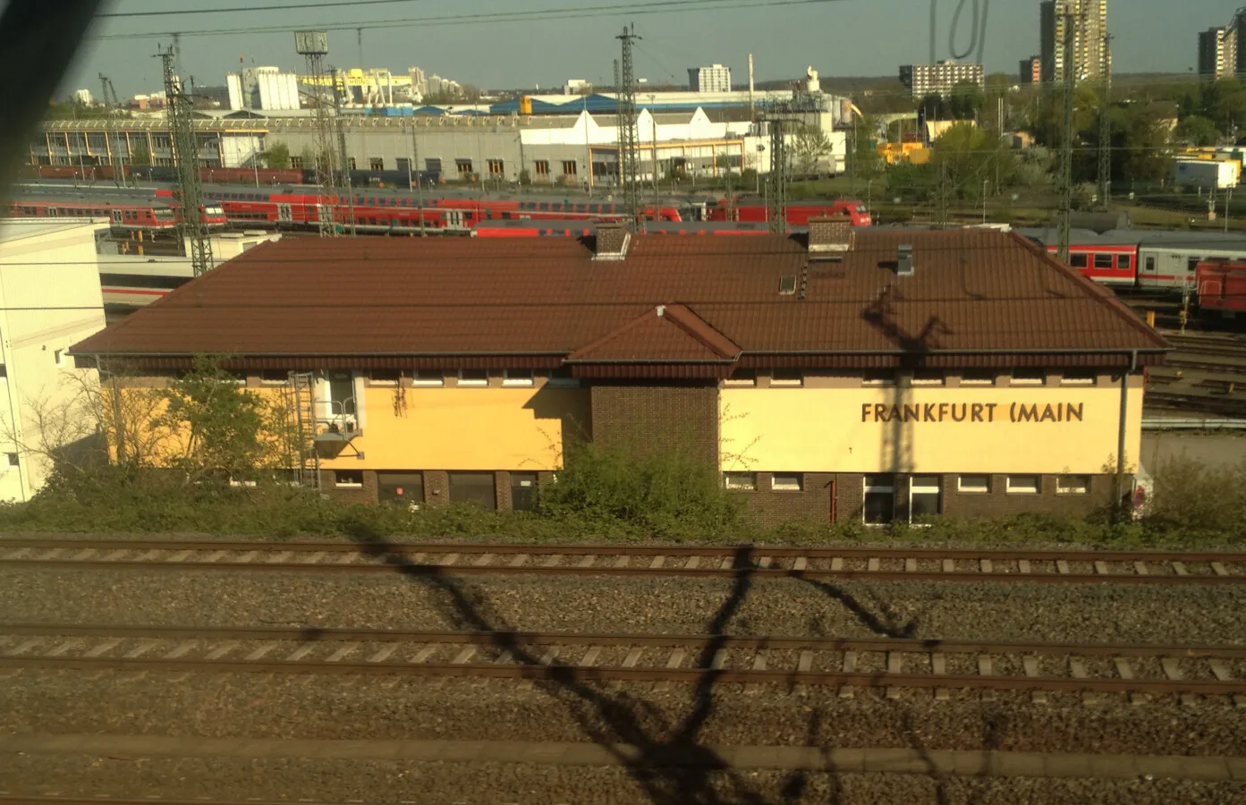 Photo 698-902-781