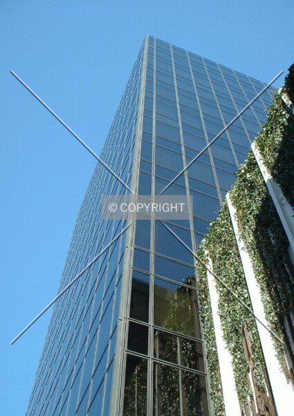 Photo 699-781-752