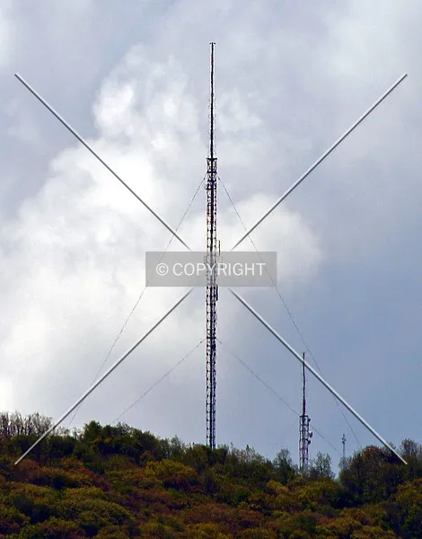 Photo 699-902-582
