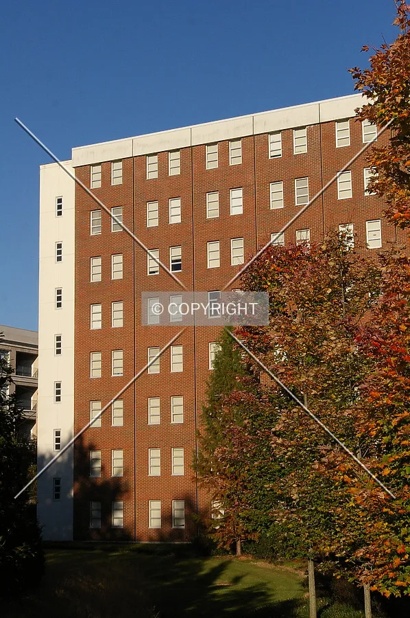 Photo 699-954-149
