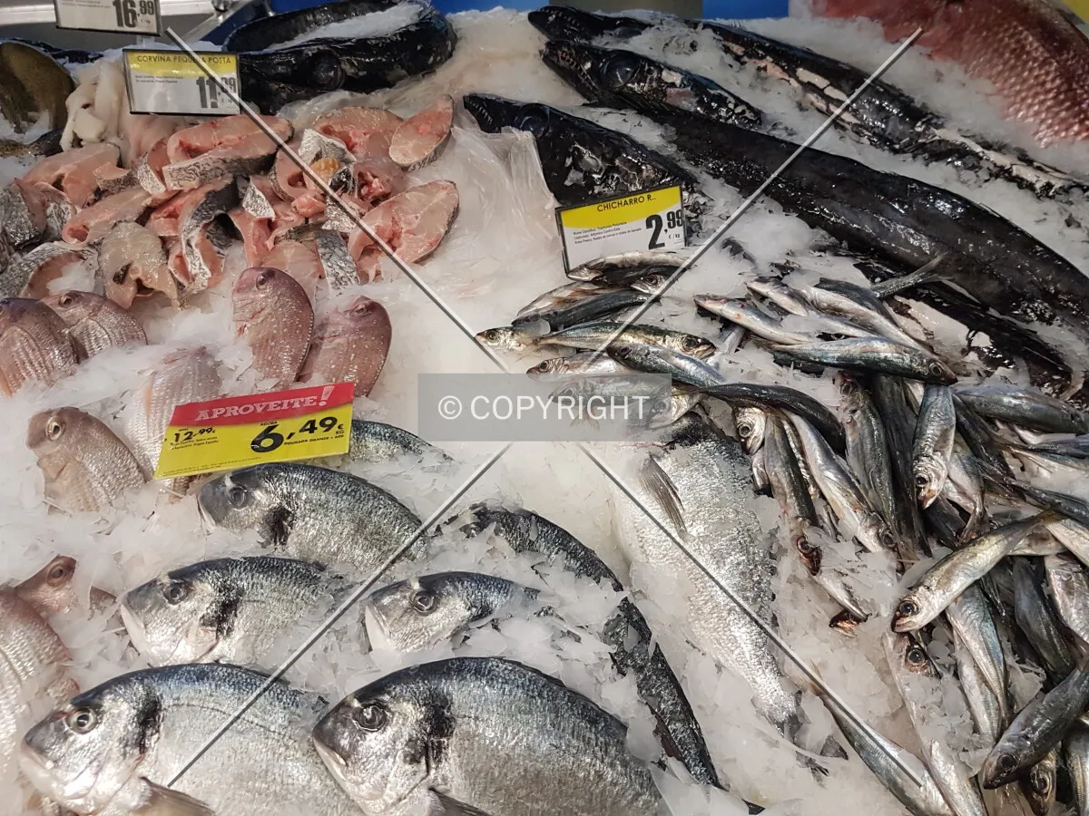 Photo 699-971-985