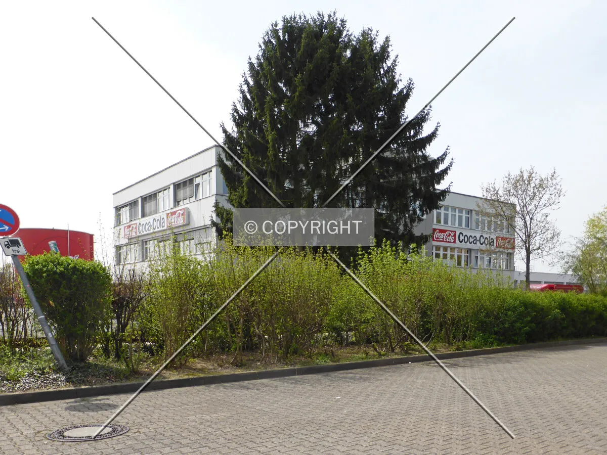 Photo 700-010-770
