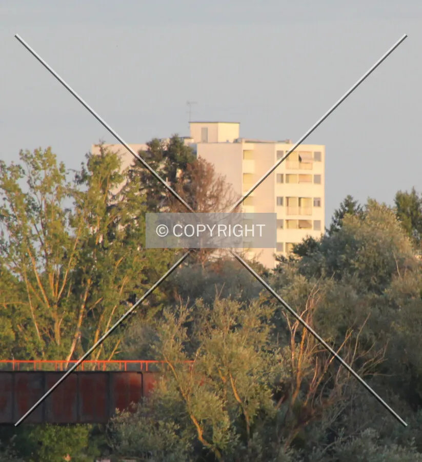 Photo 700-323-946