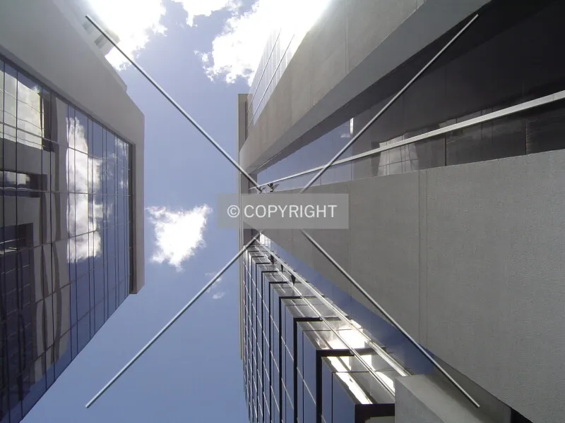 Photo 700-419-623