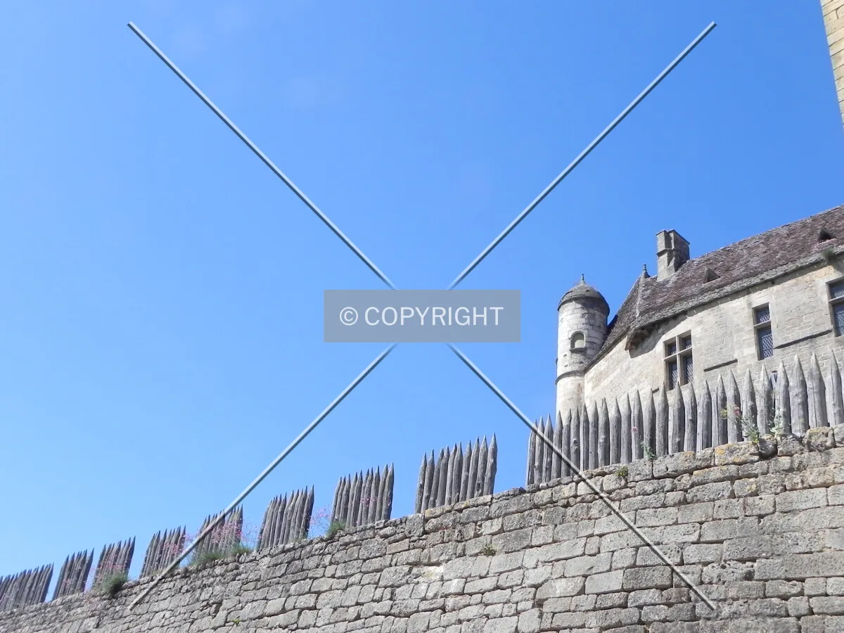 Photo 700-582-953