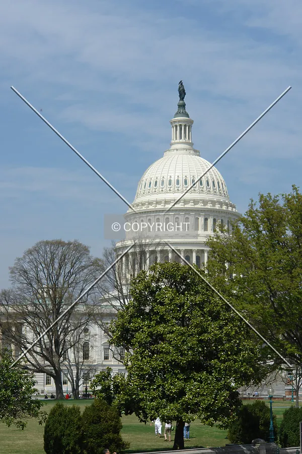 Cupola