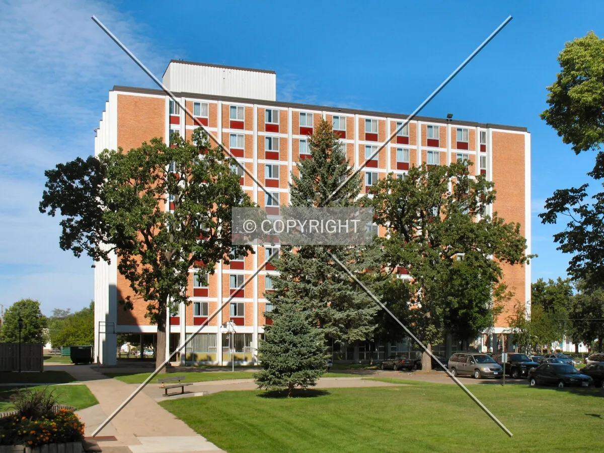 View from the east