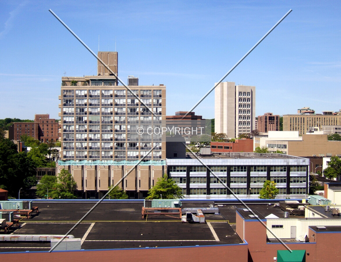 View from the northeast