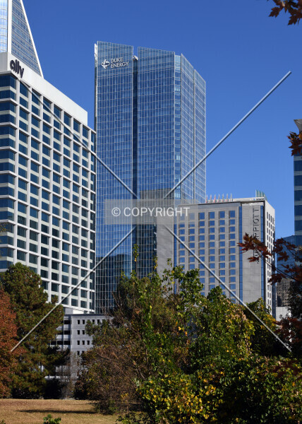 Photo 702-100-318