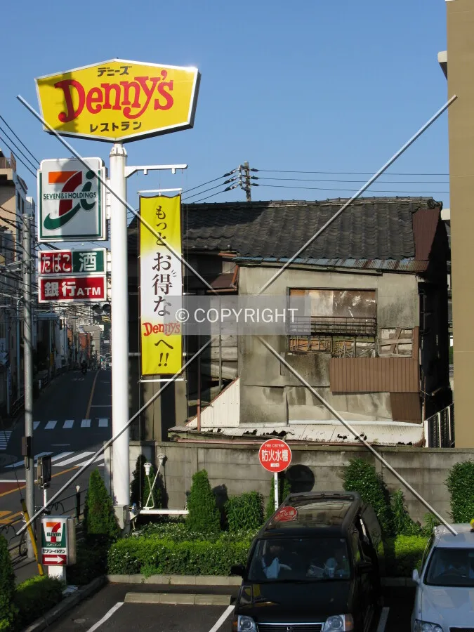 Photo 702-173-481