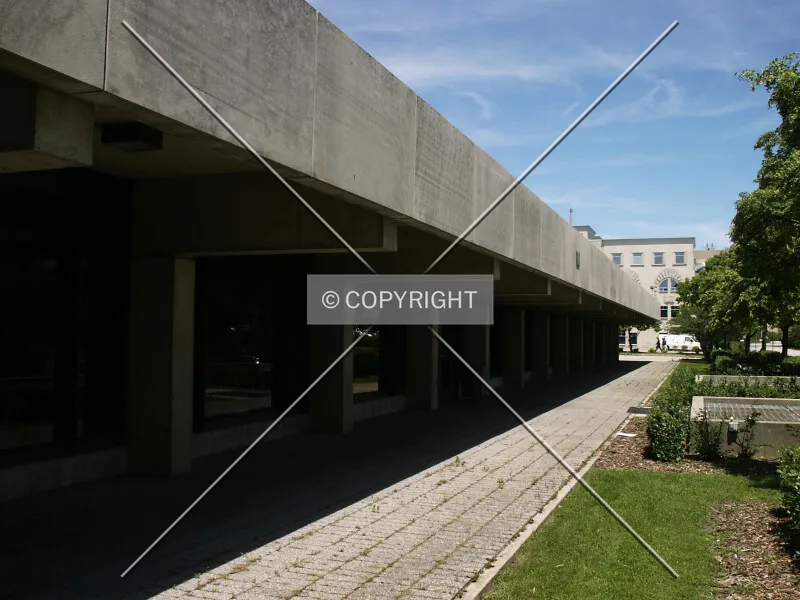 Photo 702-264-226