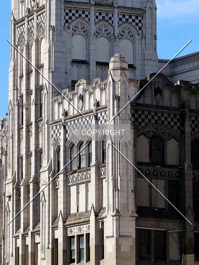 Photo 703-485-569