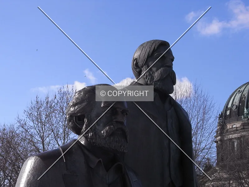 Photo 703-528-072