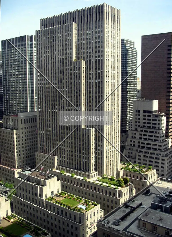 View from Tower 49