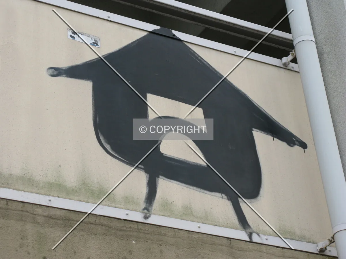 Photo 703-708-858