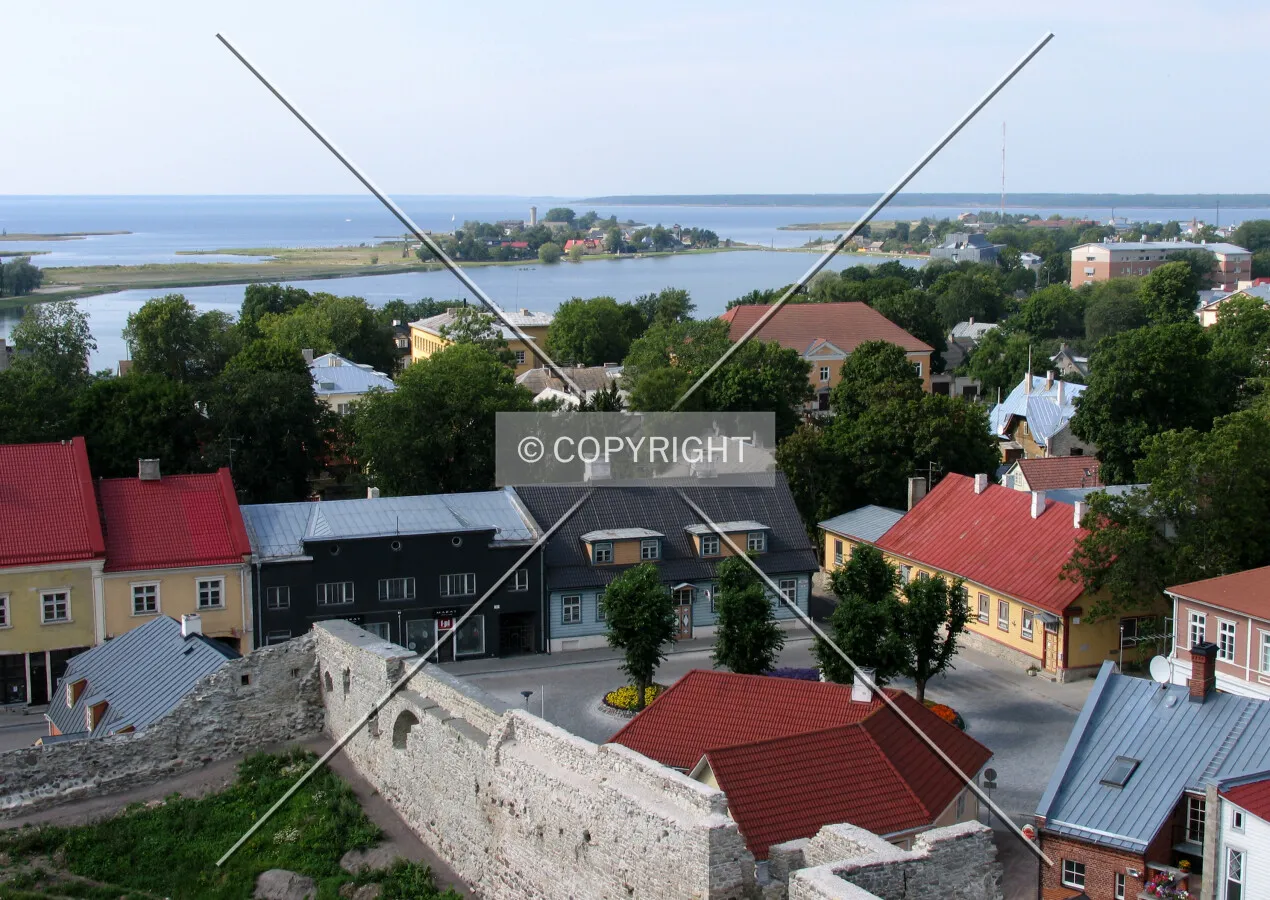 Old town seen from Bishop Castle