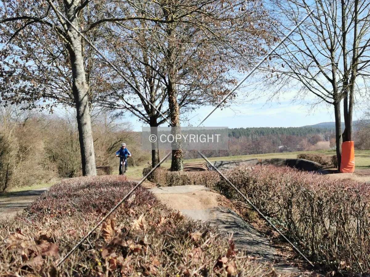 Niedernberg Pumptrack
