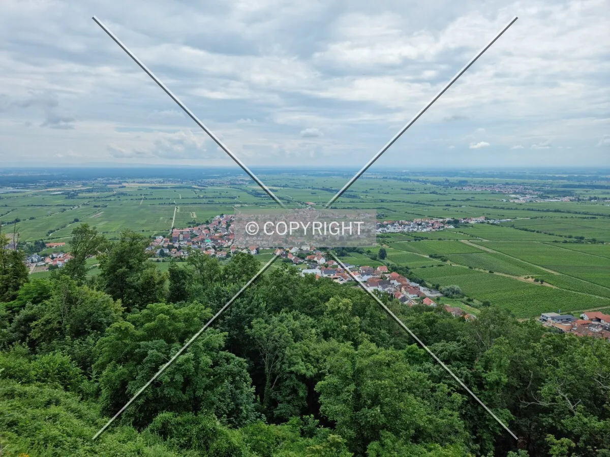 Photo 070-404-027