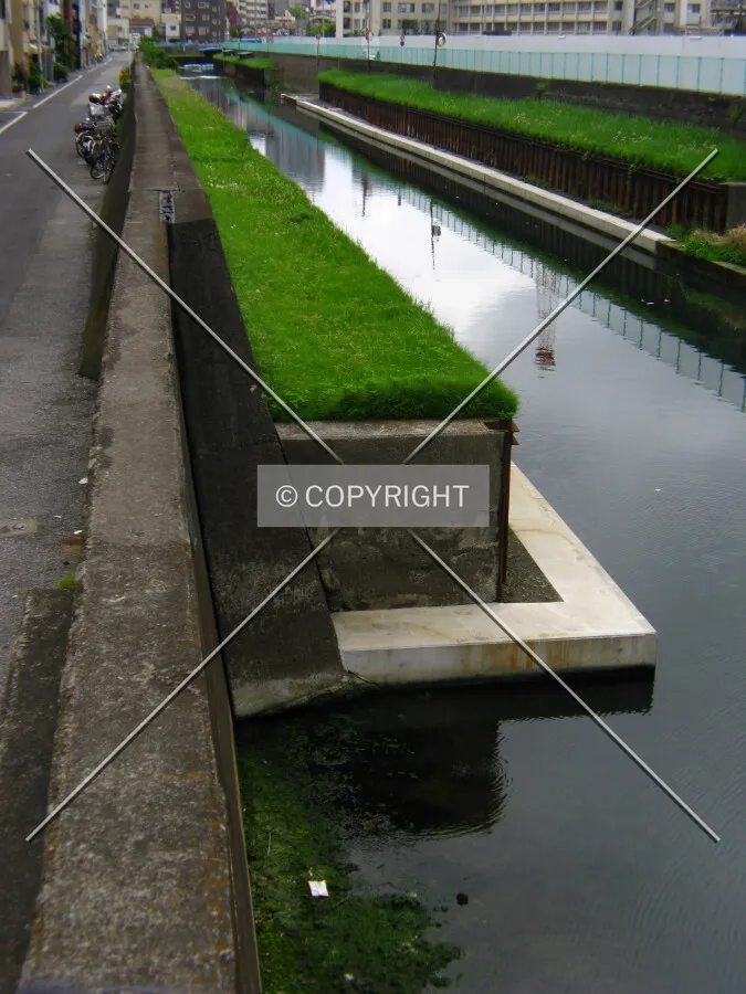 Photo 704-192-362