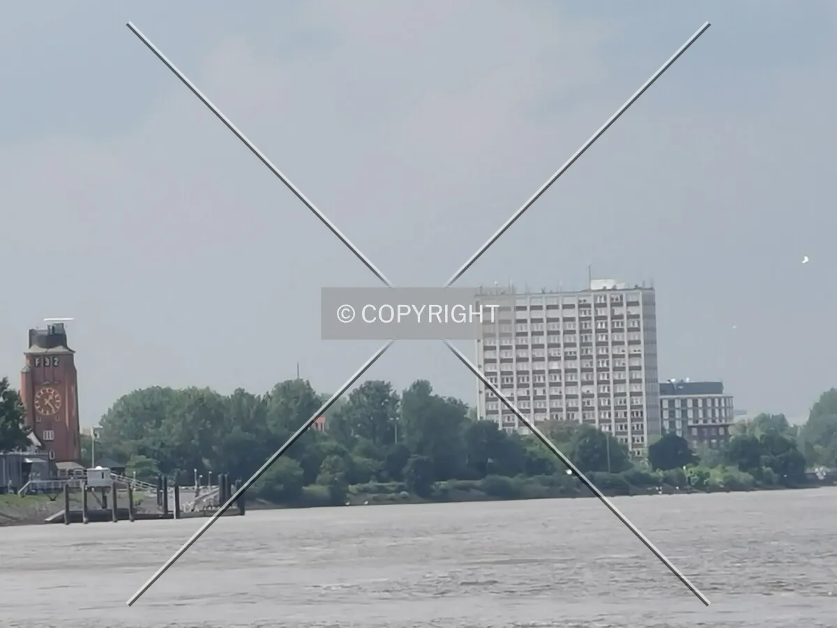 Photo 704-294-099