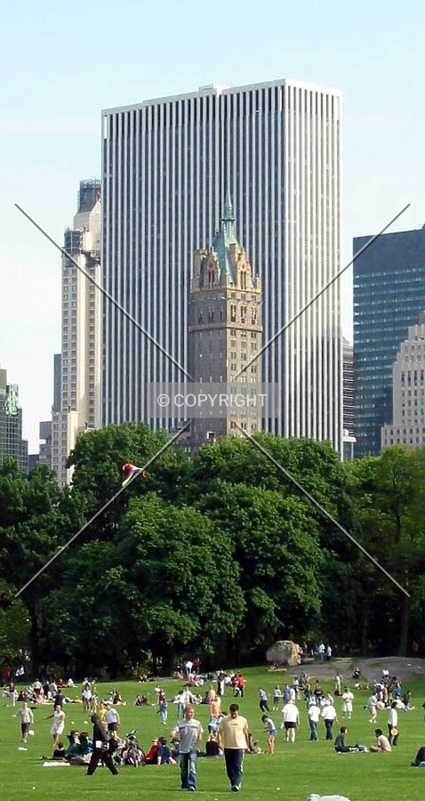 View from Central Park