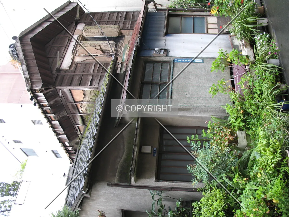Photo 706-667-272