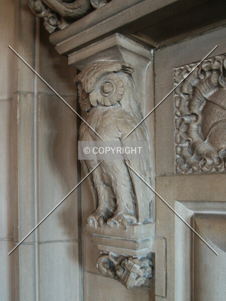 Photo 706-720-045
