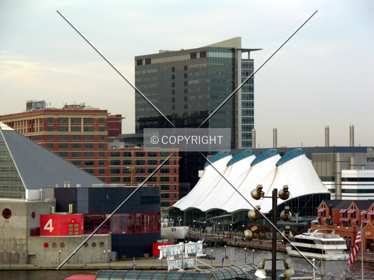 Looking northeast from Federal Hill Park at dusk