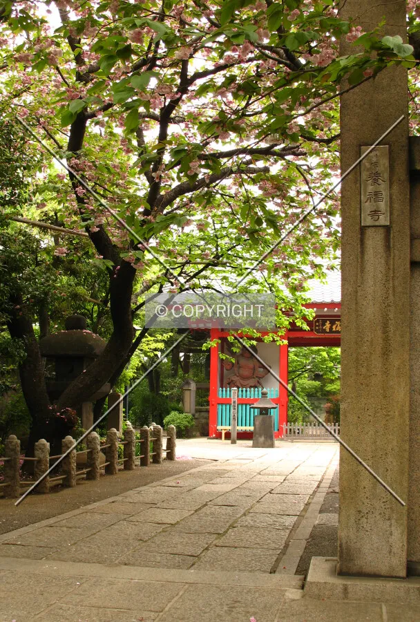 The main gate at the west