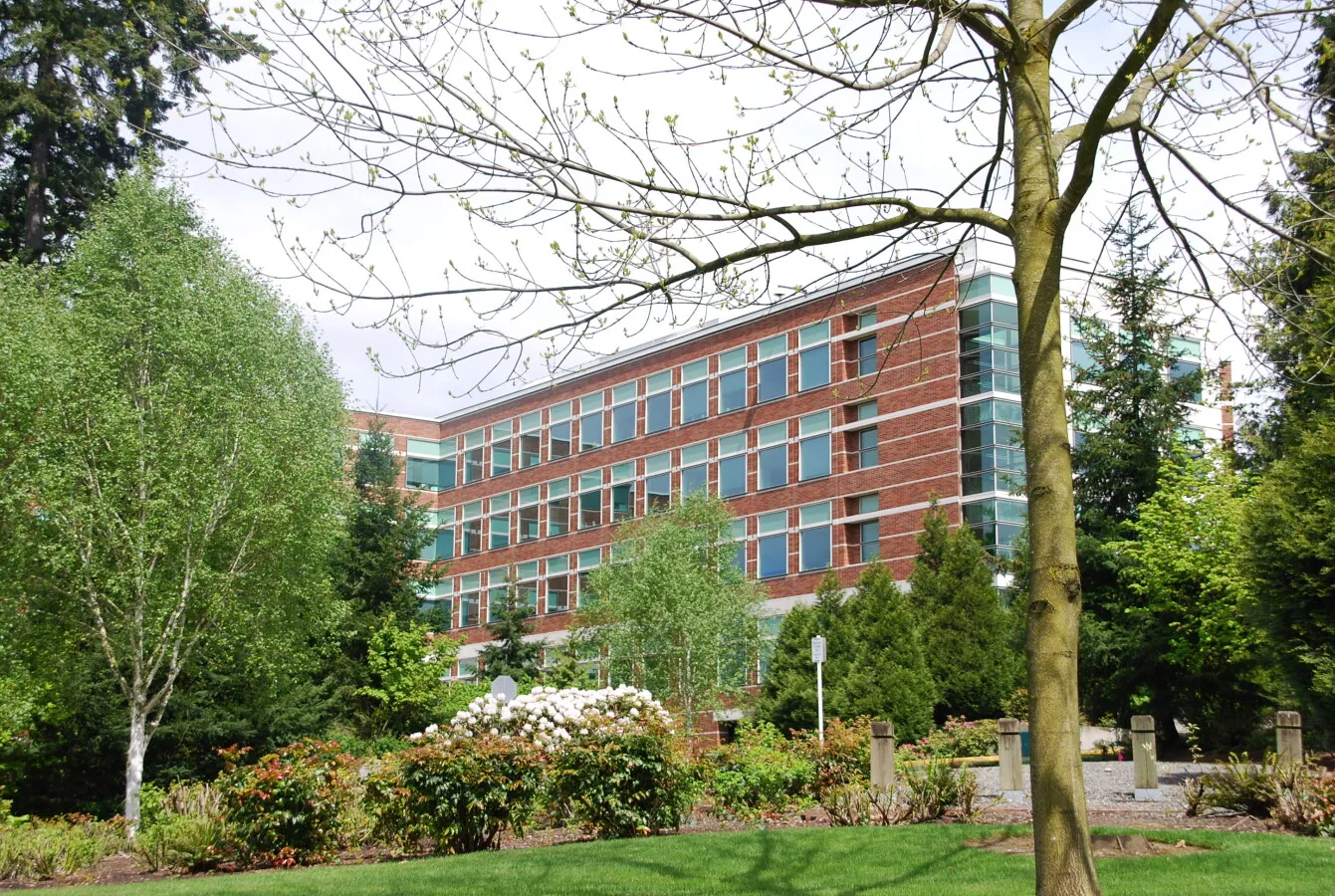 View from the southwest