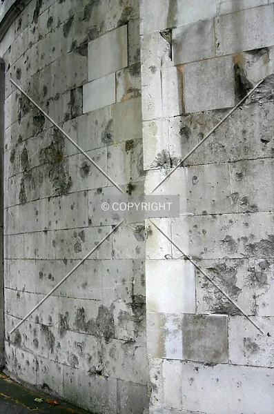 Photo 707-392-229
