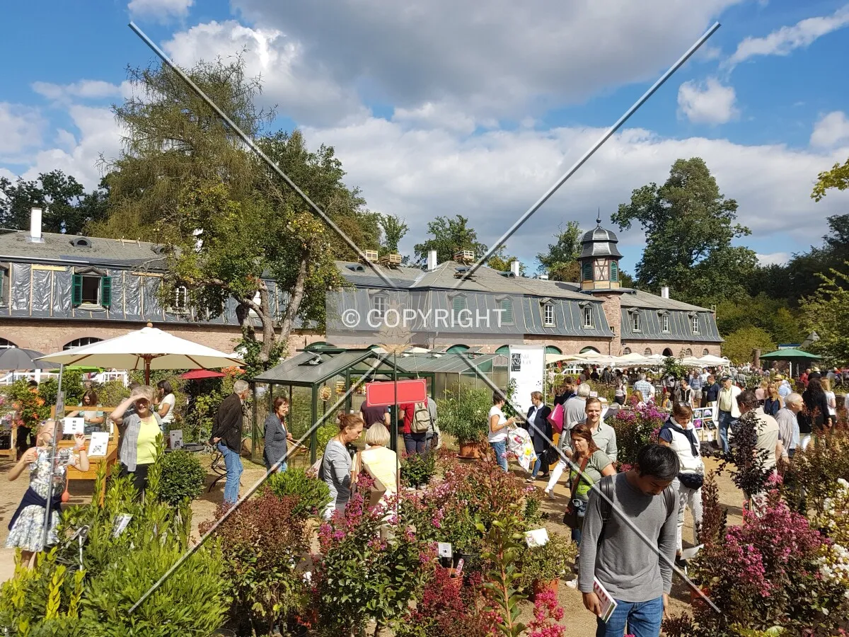 Schloß Wolfsgarten in 2018