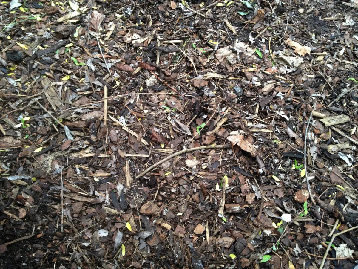 Photo 708-767-869