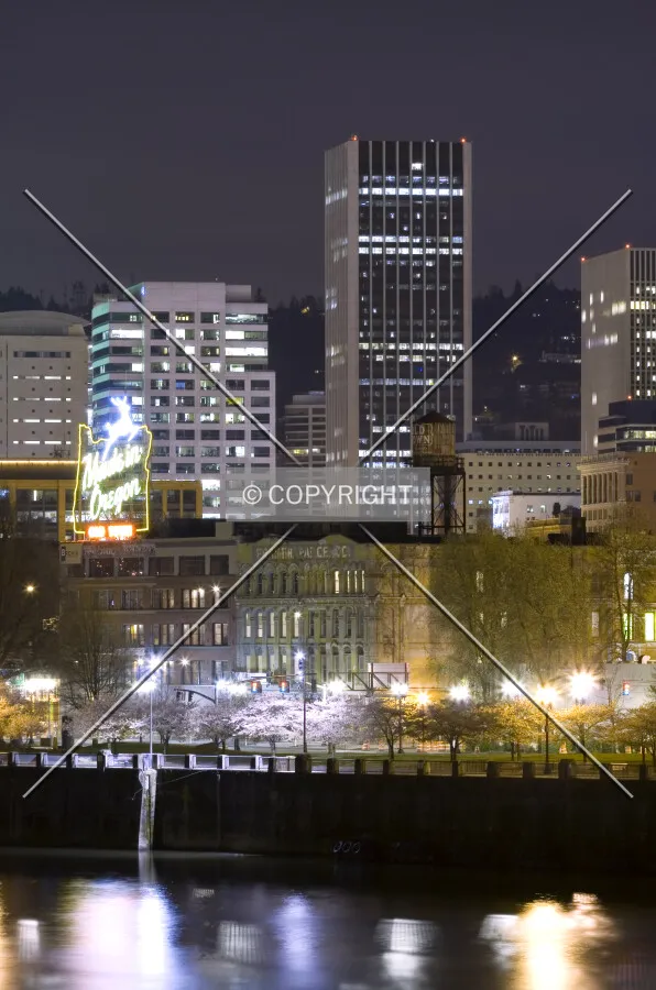 View from across the Willamette river