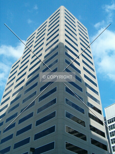 Photo 709-110-911