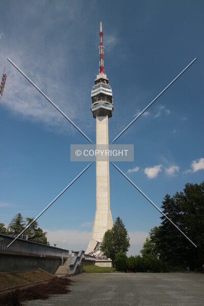 Photo 709-187-202