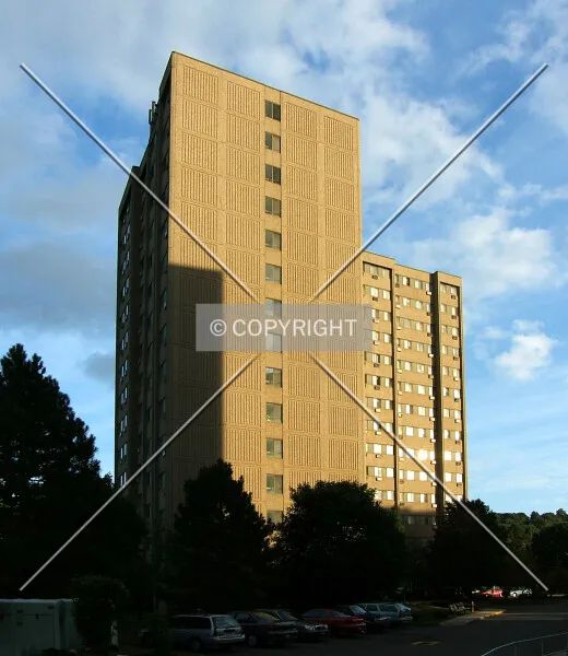 Photo 709-338-037