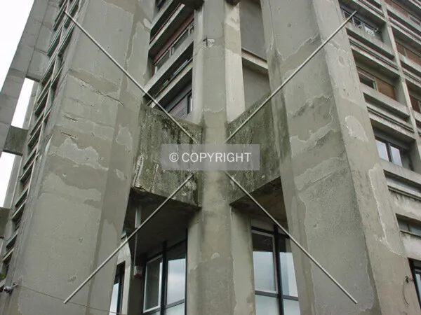 Photo 709-385-433