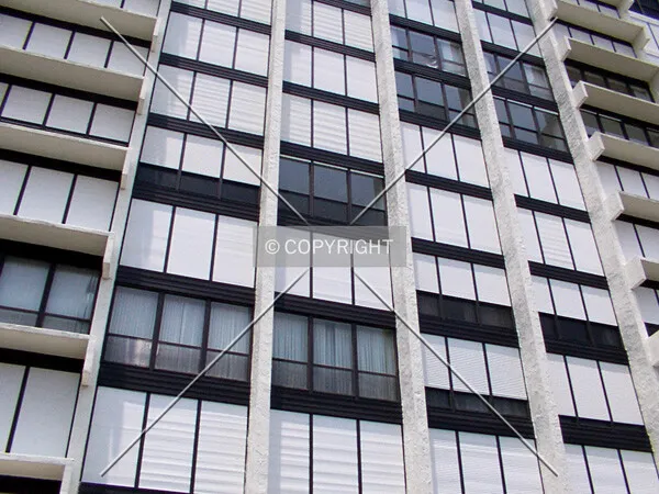Photo 709-729-678