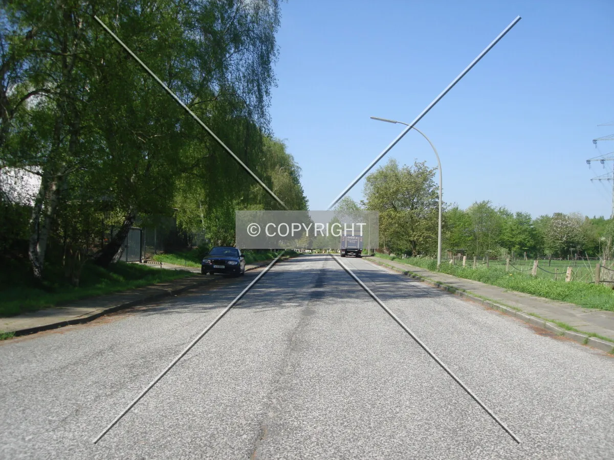 Photo 710-425-342