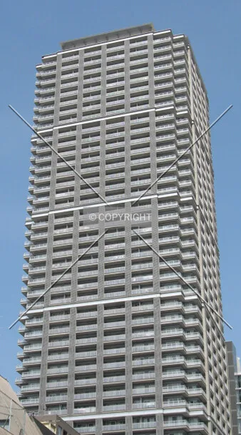 View from the east