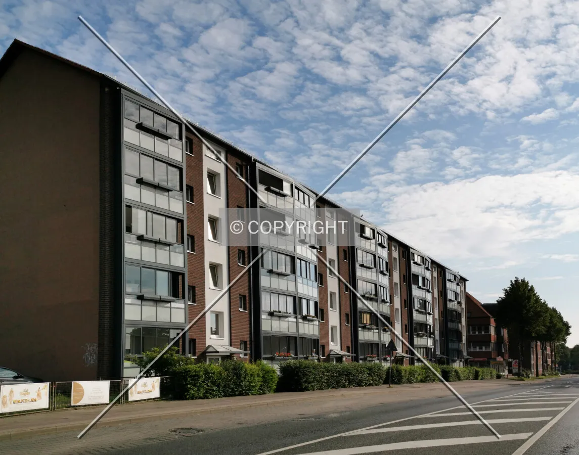 Photo 710-713-250