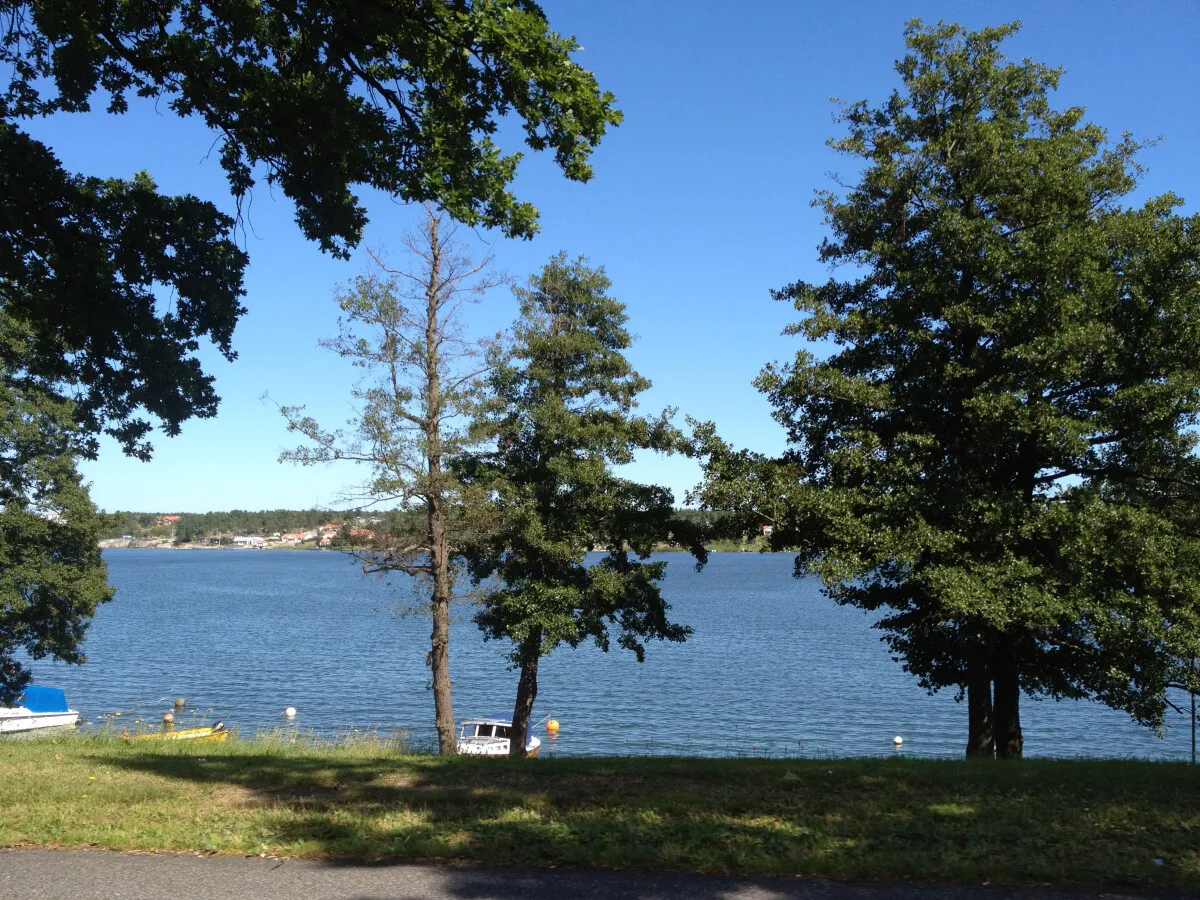 Photo 710-865-498