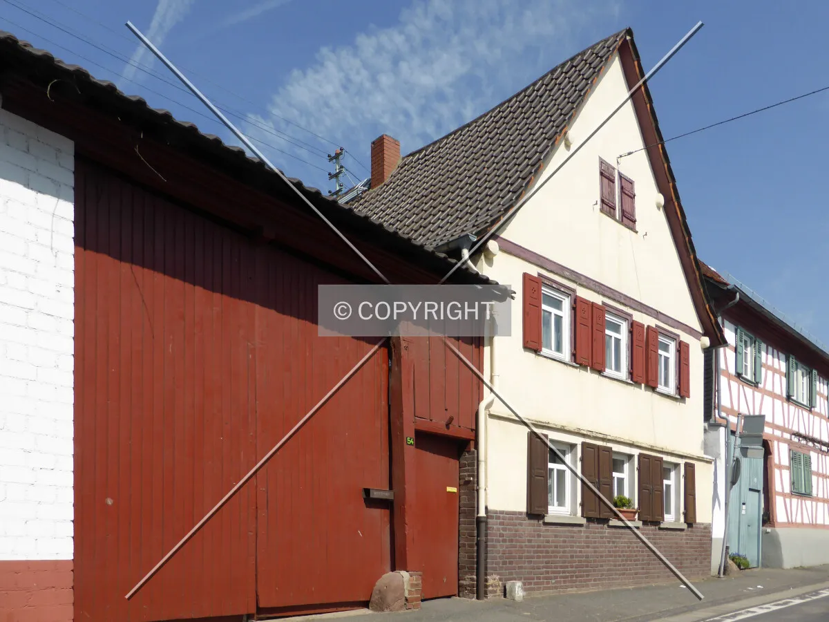 Photo 710-998-594