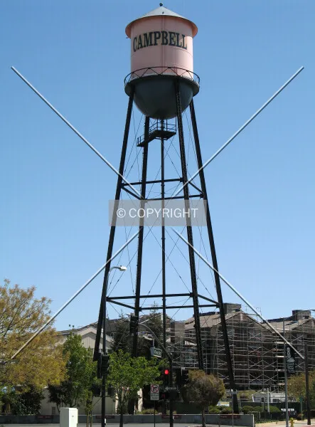 Photo 711-132-657