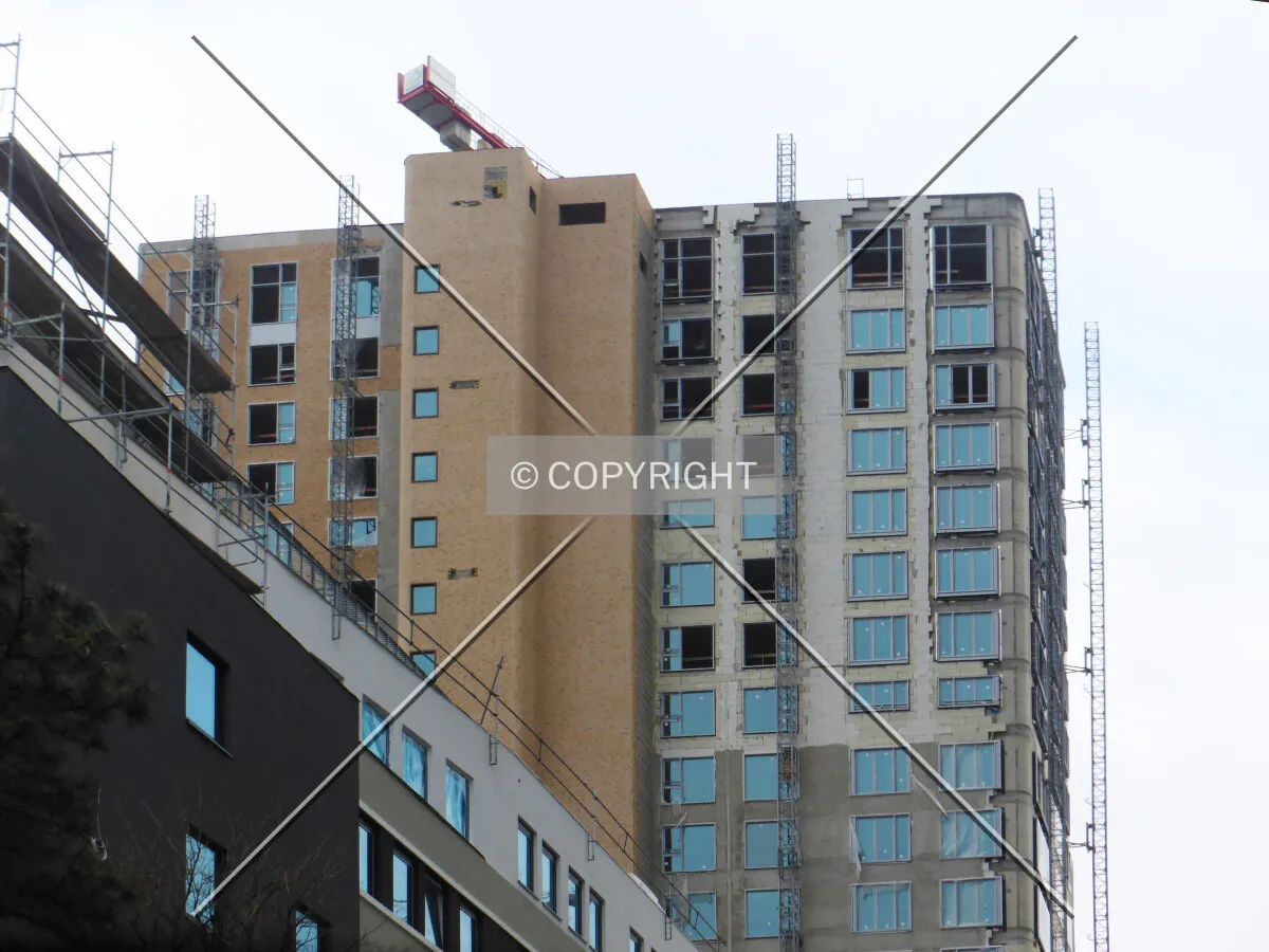 Photo 711-245-986