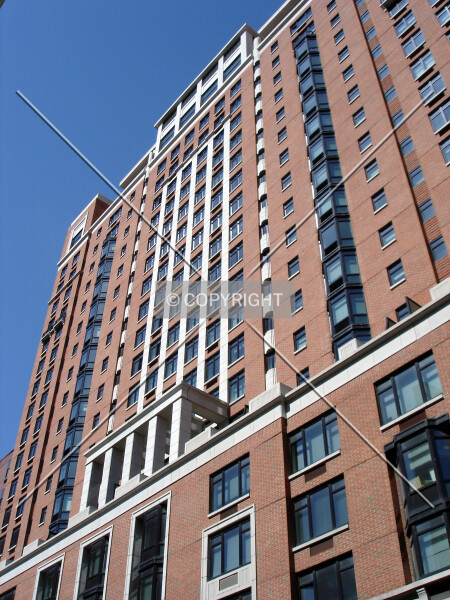 Photo 711-269-334