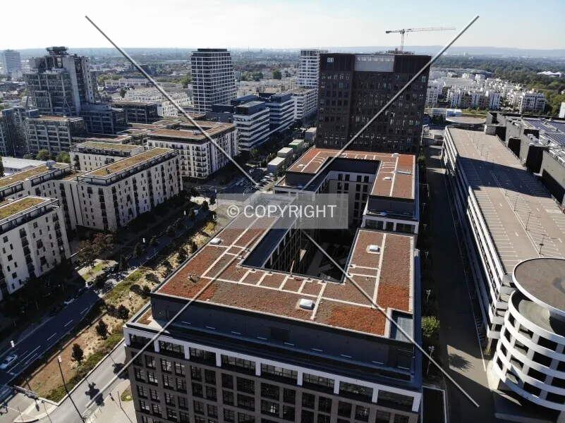 Photo 711-489-870