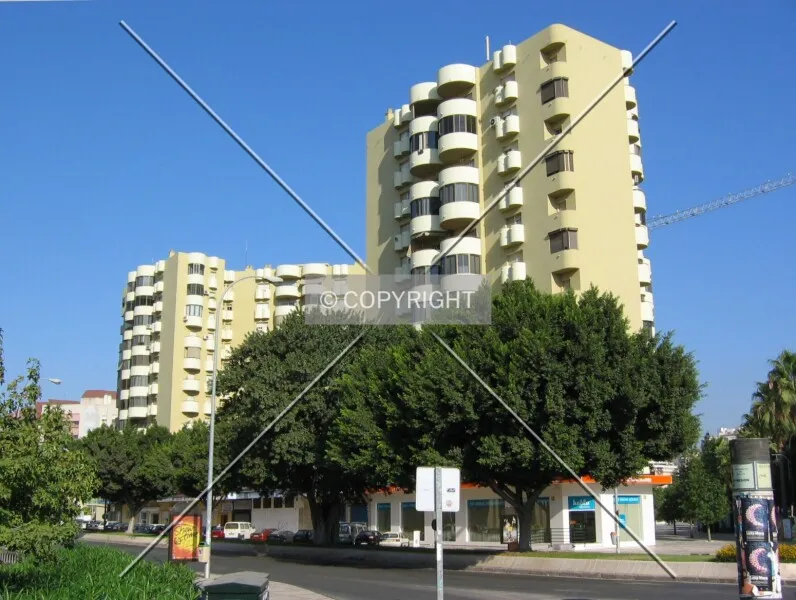 Photo 711-611-753
